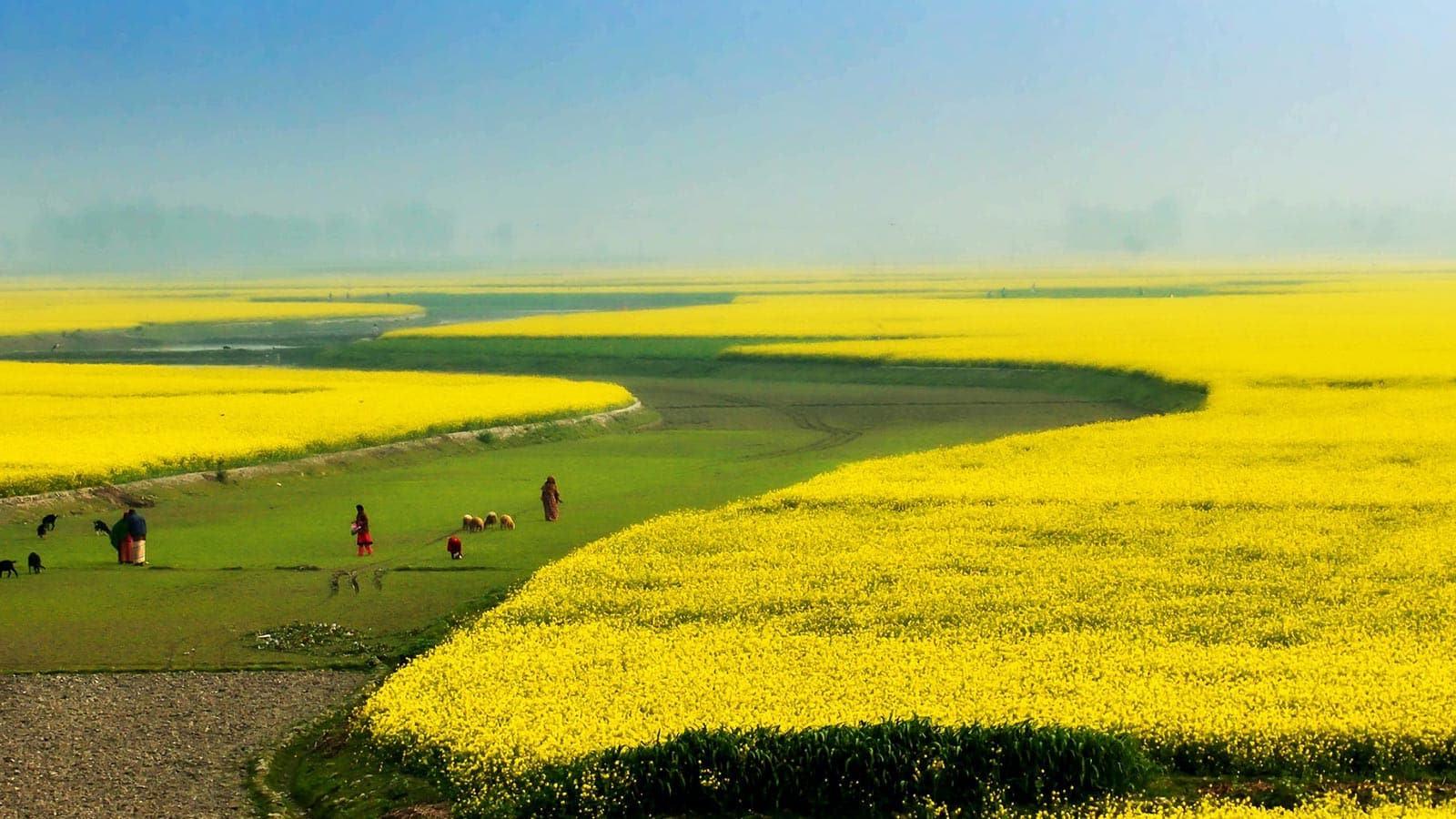 Bangladesh