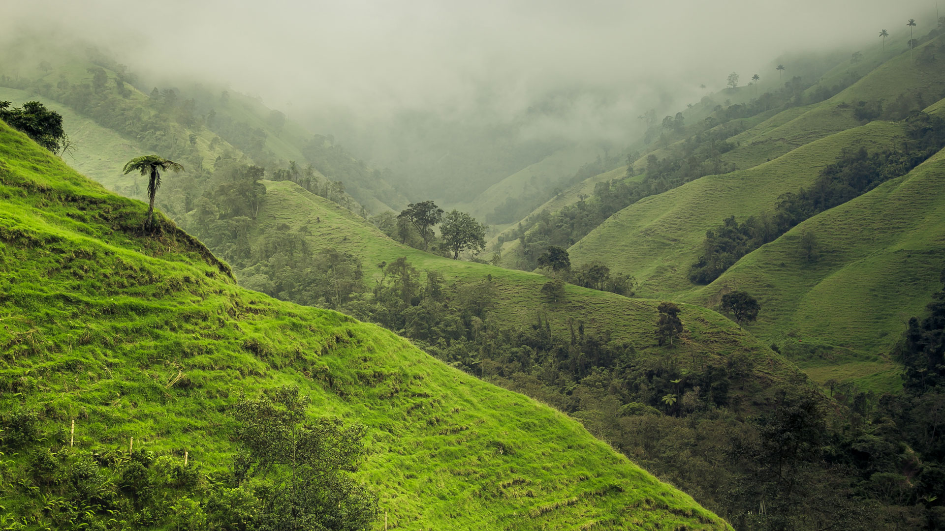 Colombia