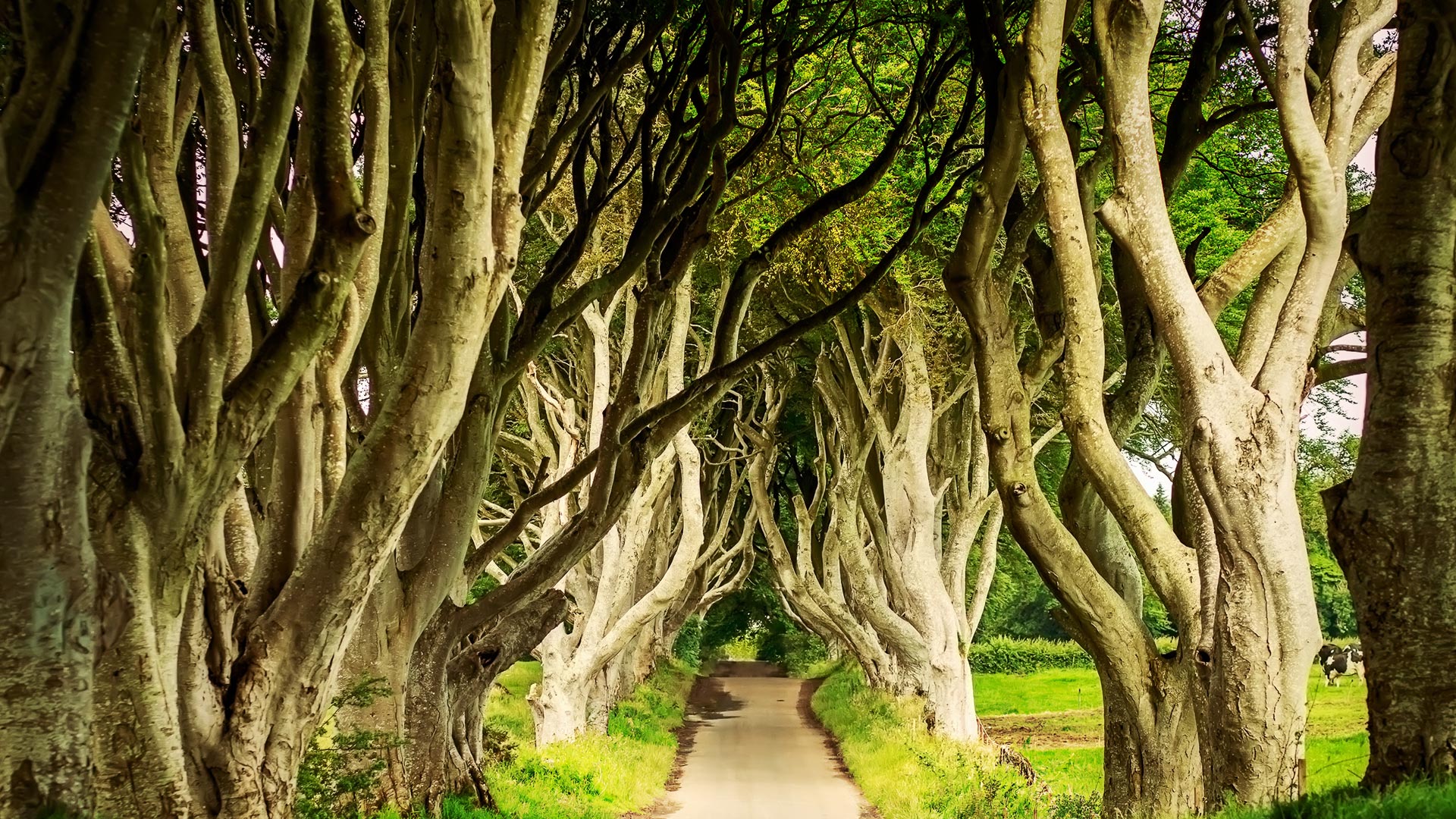 Ireland