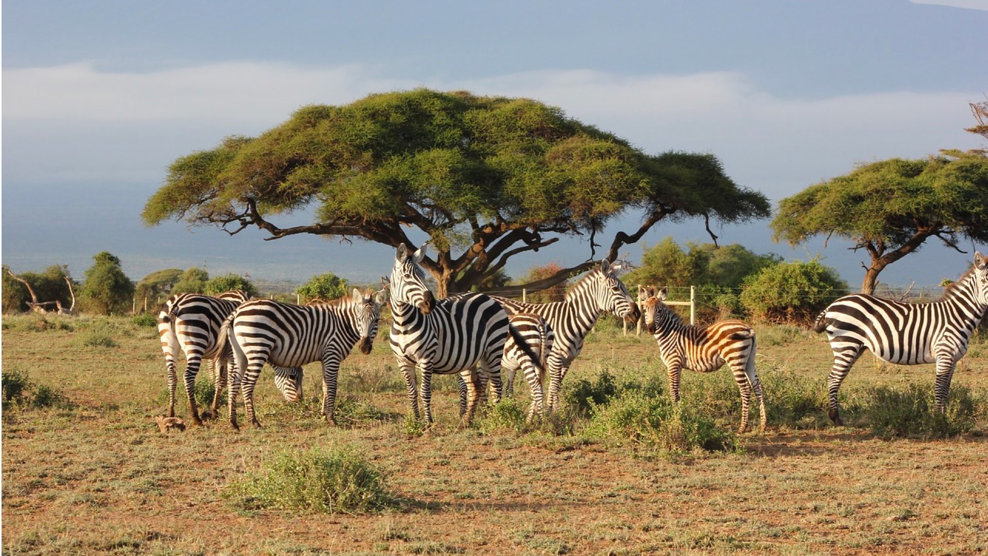 Kenya