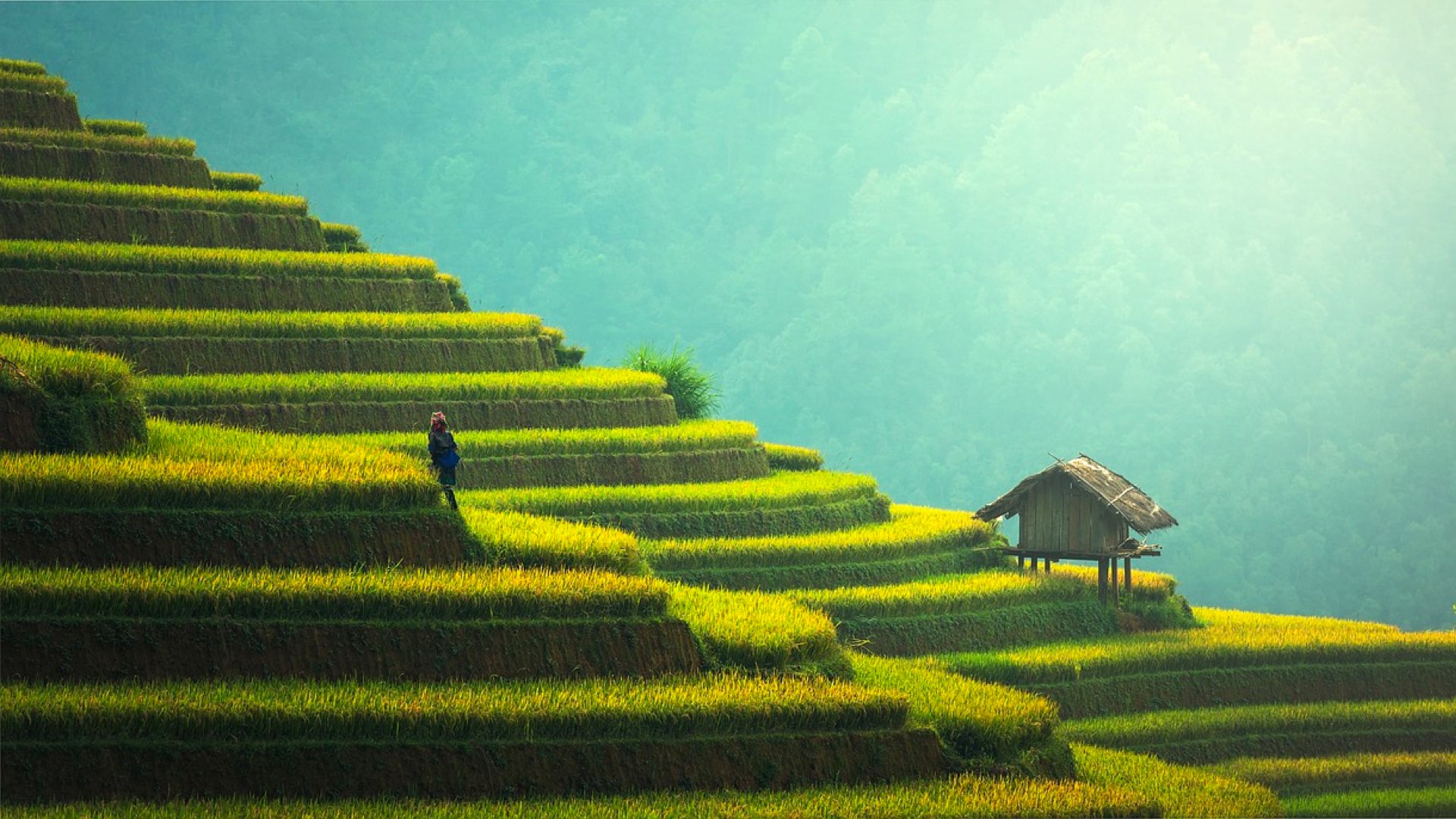 Myanmar