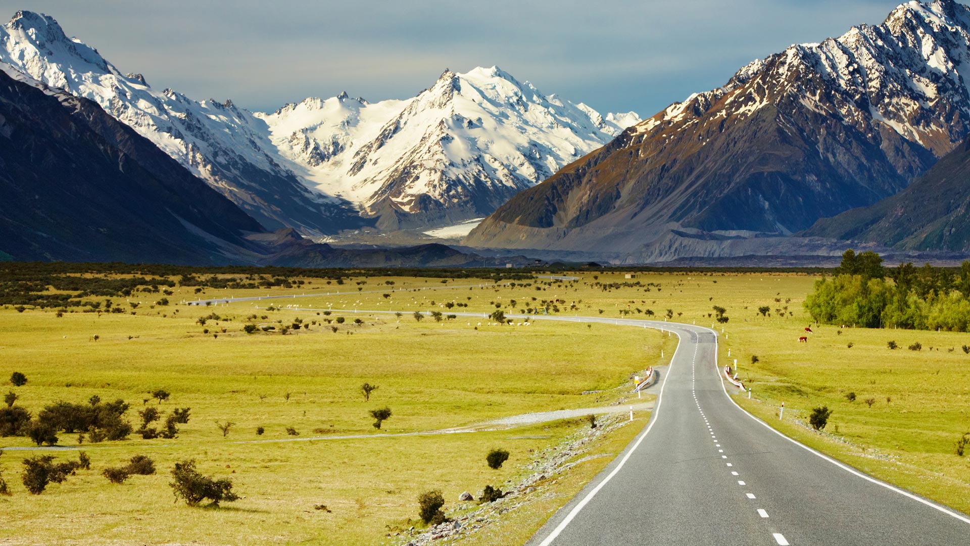 New Zealand