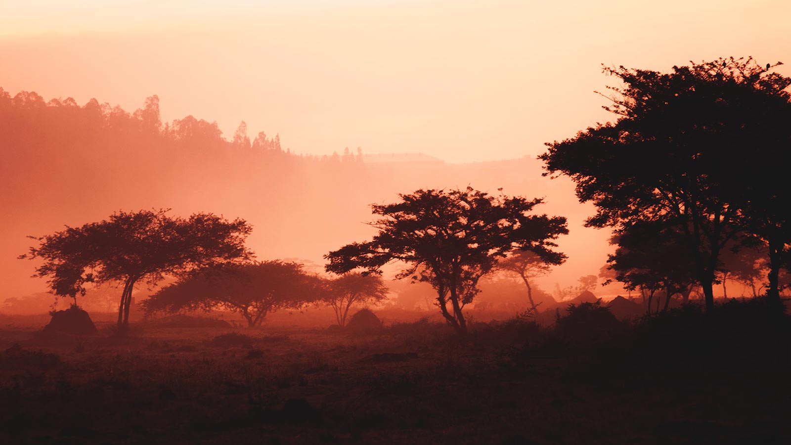Rwanda