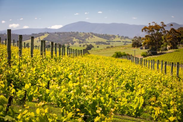 Southern Australia Scenery