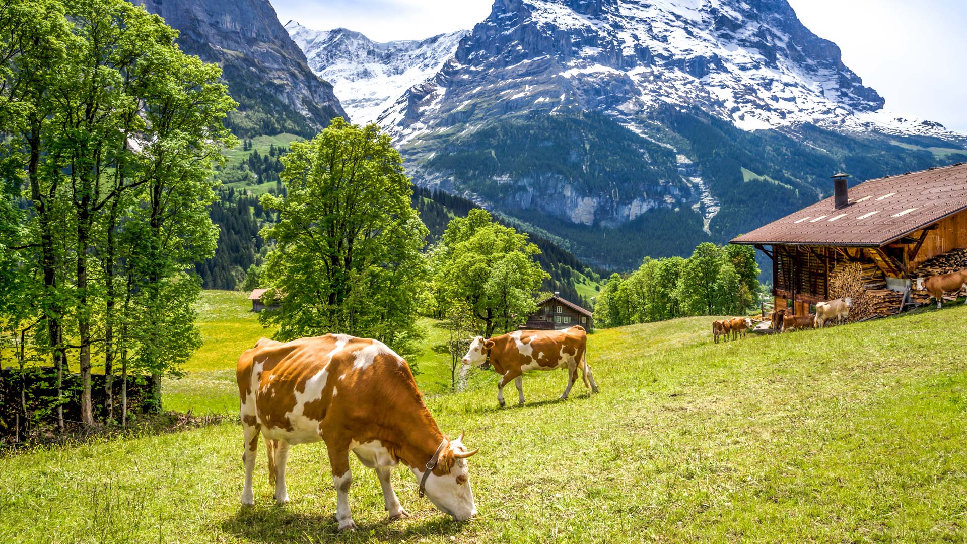 Switzerland – Geneva