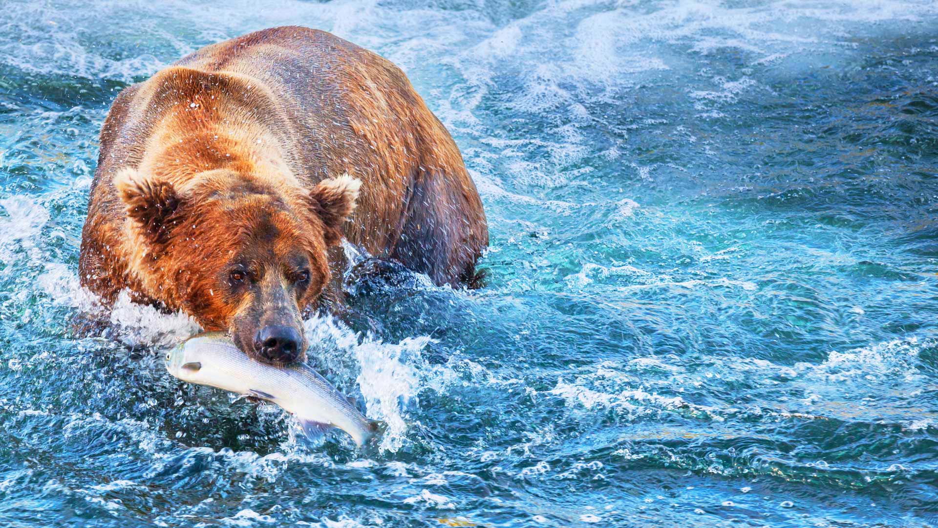 United States – Alaska