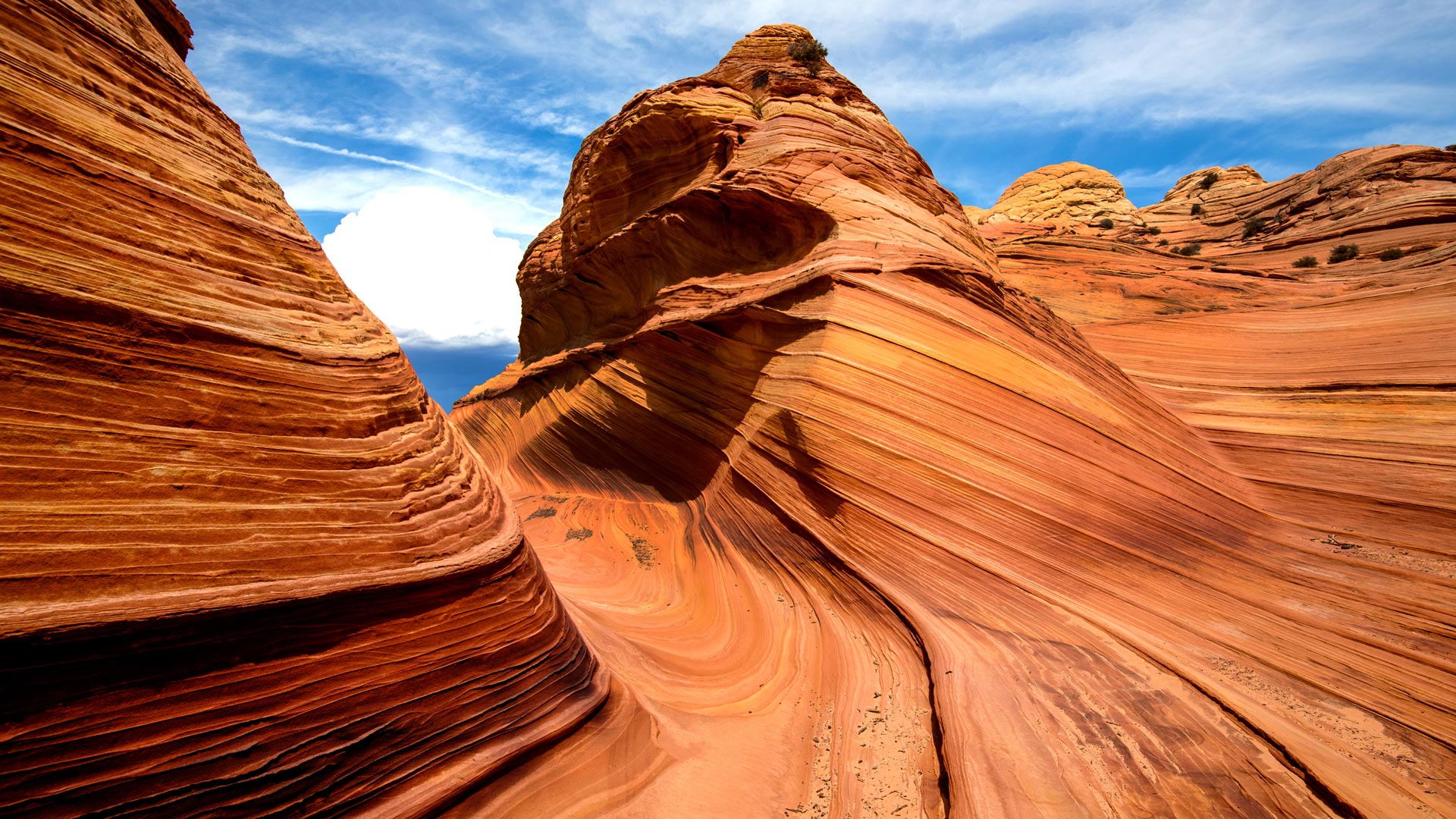United States – Arizona