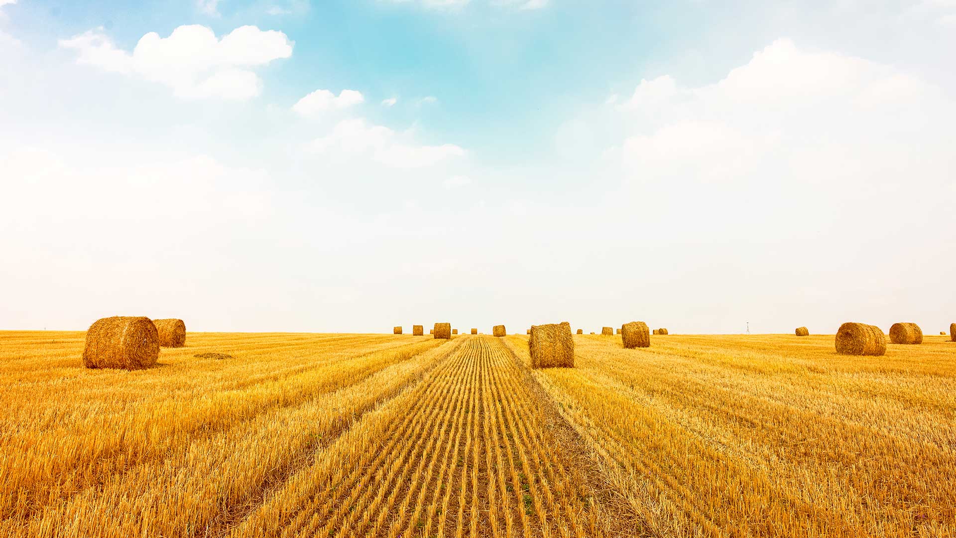 United States – Iowa