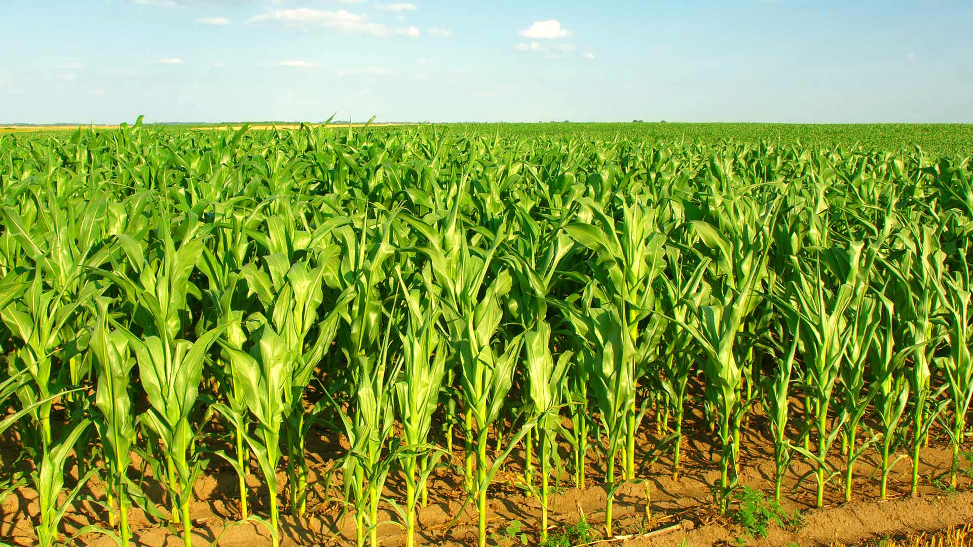 United States – Nebraska