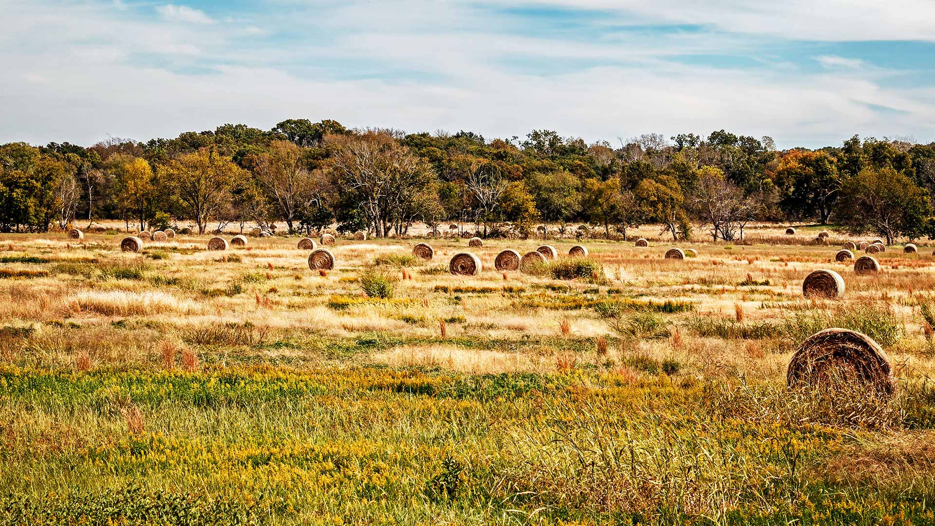 United States – Oklahoma