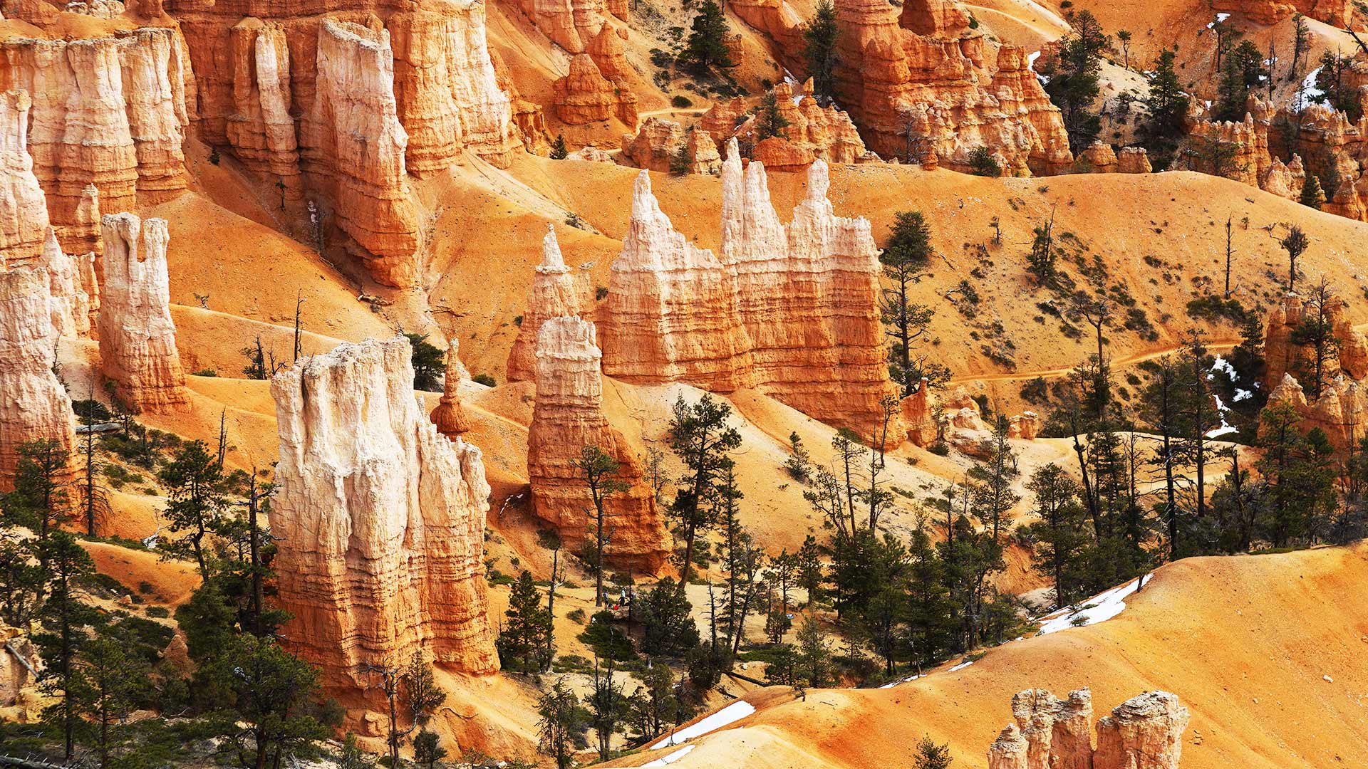 United States – Utah