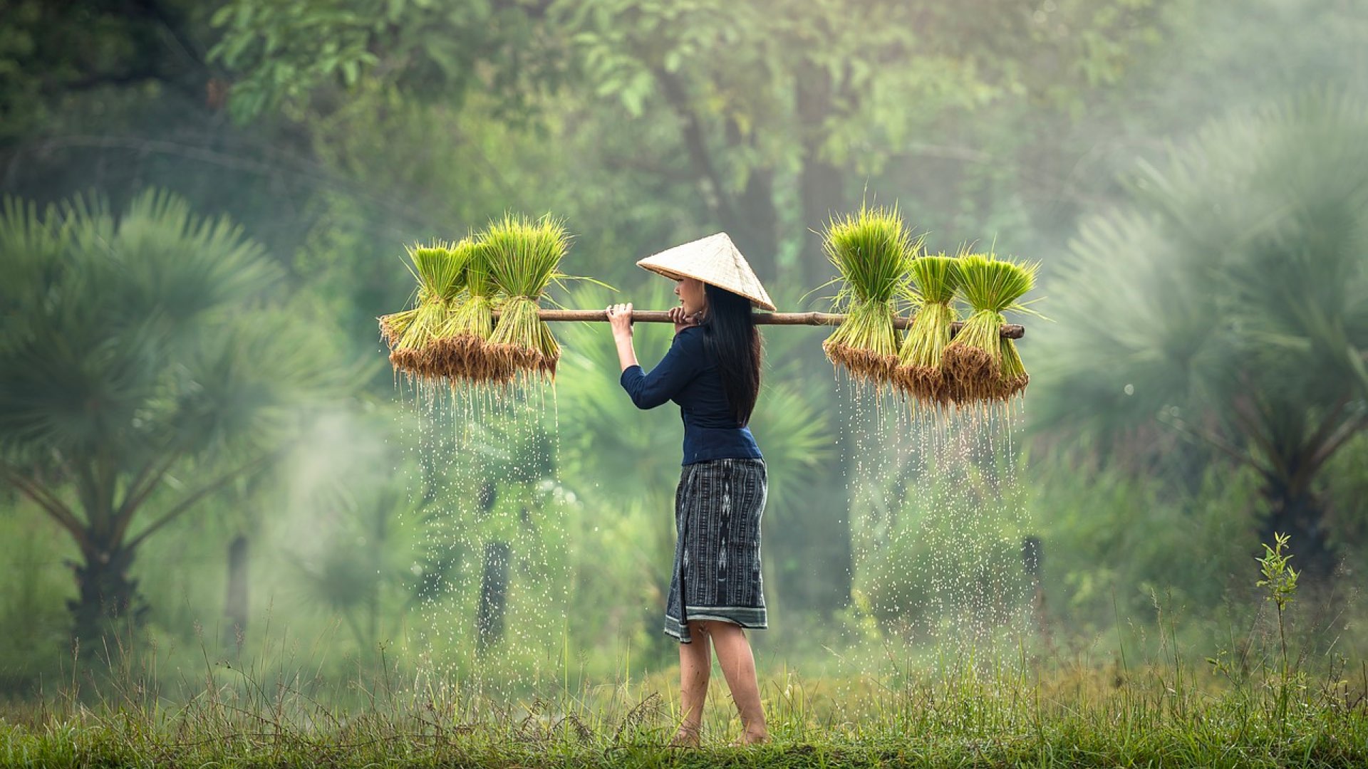 Vietnam