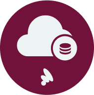 Papaya Payments Connector
